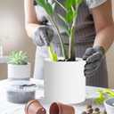 WSMKSZ 8 Inch Cylinder Plant Pots for Indoor Outdoor Plants, Medium Deep Flower Pots with Drainage Holes & Saucer, Decorative Plastic Planter Pots for Garden House Plants, White