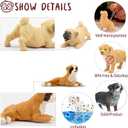 Toymany 12PCS Mini Dog Figurines Playset, Realistic Detailed Plastic Puppy Figures, Hand Painted Emulational Tiny Dogs Animals Toy Set, Cake Toppers Christmas Birthday Gift for Kids Toddlers