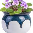African Violet Pots, 6 inch Ceramic Easy Self Watering Plant Pot for Busy Plant Lovers, Automatically Absorb Appropriate Amount of Water, Flower Pot Indoor-Plants Not Included(Blue)