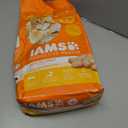 IAMS Proactive Health Dry Cat Food, Healthy Cat Food Dry Recipe for Adults, with Chicken 7 lb. Bag (EXP 09/16/26)