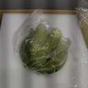 ILLMTW Glass Floor Lamp for Living Room,Bedroom,Gold Mid Century Modern Standing Lamp with Remote,Dimmable Brass Tall Lamp Vintage Tulip Green Arc Flower Floor Light Boho Bohemian