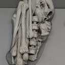 MOKRY PARTY Bag of Bones Halloween Life Size Skeleton Skull for Decoration and Spooky Graveyard 28 PCS