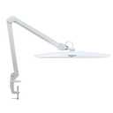 bemelux 20-Inch LED Desk Lamp with Clamp, 24W 2200LM, Protected Arm, White