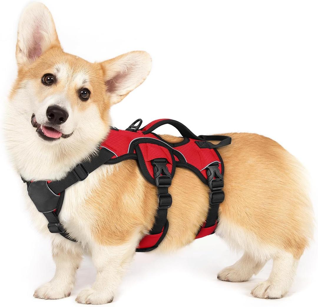 rabbitgoo Escape Proof Dog Harness, Soft Padded Full Body Pet Harness, Reflective Adjustable No Pull Vest with Lift Handle and Leash Clip for Large Dogs Walking Hiking Training, S, Red (Small (Pack of 1))