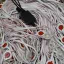 XINKAITE 500FT Permanent Outdoor Lights with 250 LEDs - Smart RGB+IC with 16 Million Colors, IP67 Waterproof, App & Remote Control, Hundreds of Modes for Holidays, Christmas & Home(2 Rolls 250FT)