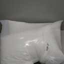 Goose Feathers Soft Pillows, 500 Thread Count Cotton Cover 11x18 Inches (Pack of 2), Supportive Fluffy Hotel Collection Bed Pillows for Side and Back Sleepers