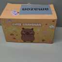 Capybara Gifts for Girls, Kids Capybara Plush Toys Set with Capybara Stuffed Animal, Secret Diary, Ballpoint Pen, Stickers, Birthday Gifts for Little Girls Age 5 6 7 8 9 10-12 Years Old