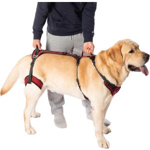 COODEO Mobility Dog Lift Harness, Support Sling for Dog, Dog Walking Sling, Pet Rear Leg Support Rehabilitation Lifts Vest, Dog Carrier for Senior Dogs with Arthritis, Up Stair (Red, M)