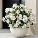 Uqueeten Artificial Flowers for Outdoors Artificial Geranium,Fake Flower White Geranium Artificial Plant Home Decor,Silk Geraniums Realistic Outdoor Flower Fake Plant Decoration 14.4" (White) 8PCS