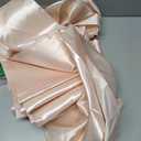 Babenest Satin Chair Sashes Ties Upgraded 30 pcs Chair Ribbons Bows for Wedding Banquet Party Christmas Baby Shower Events Decoration (Champagne) (Blush Pink)