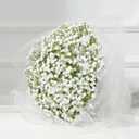 Dolicer 5 Pcs Babys Breath Artificial Flowers, White Long Stem Baby Breath Flowers Artificial Bulk, Real Touch Fake Babys Breath Gypsophila for Wedding Bridal Bouquet Party Arrangements Home Decor