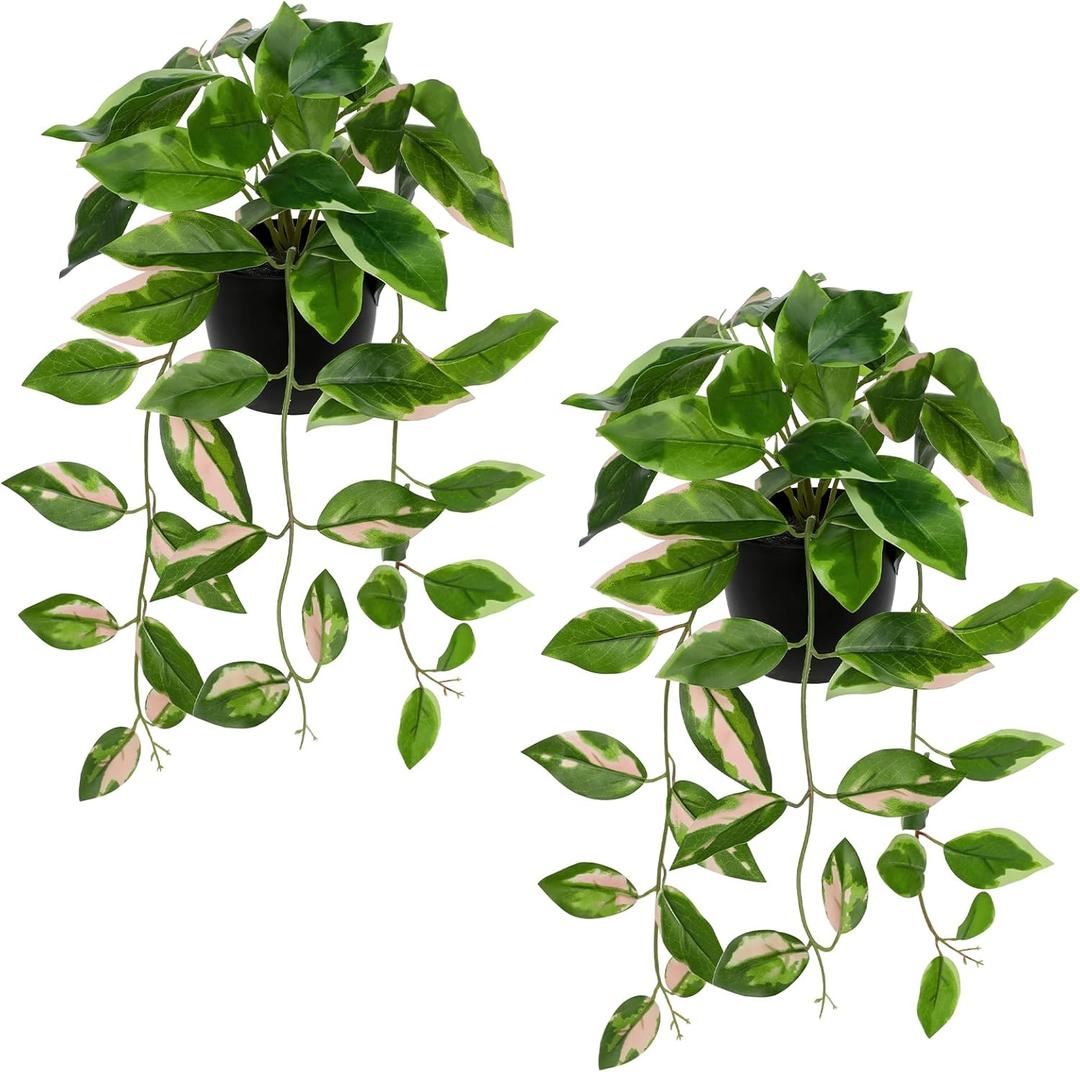 Briful Small Fake Plants Indoor (Set of 2) Realistic Faux Trailing Plant Artificial Potted Plants in Black Pot Pink N' Joy Leaf Houseplant for Living Room Table Kitchen Counter Shelf