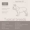 Soft Touch Faux Fur Dog Bed for Medium Size Dogs 6.5" Extra Thick, Orthopedic Pet Bed with Waterproof Liner and Washable Cover, with Removable Cute Pillow, Cream Color