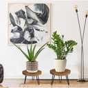 Plant Stand Indoor Outdoor, Wooden plant Stool, Mid Century Plant Stand for Indoor Plants, Wood Modern Plant Holder Rattan Flower, Low Short Boho Rustic Planter Stand Fit 5-15 Inch Pot(M)