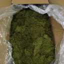 Preserved Reindeer Moss Natural Green DIY Kit Gardenning Art Wall Decor Florist Decor Easter Table Decor Wedding (0.85 lb)