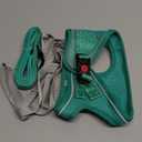 BELLA & PAL Step in Vest Harness for Small and Medium Dogs, No Pull Small Dog Harness with Leash Set, Comfortable Air Mesh Dog Vest Harness with Reflective Strip (Emerald, M)