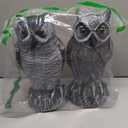 OFFO 2 Pack Plastic Owl Scarecrow for Halloween Decorations Outdoor Garden, Yard, Pool Decoration, 8.3 in Height