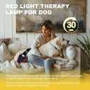 Dog Knee Brace for Torn Acl Hind Leg Red Light Therapy for Dogs Professional Edition Dog Knee Brace Accelerated Wound Healing Suitable for Mini Dogs (S)