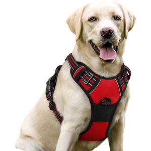 rabbitgoo Dog Harness, No-Pull Pet Harness with 2 Leash Clips, Adjustable Soft Padded Dog Vest, Reflective No-Choke Pet Oxford Vest with Easy Control Handle for Large Dogs, Red, L
