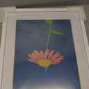 16x20 Frame White Solid Wood With Mat 12x16 Wall Picture Poster Photo frames (16x20in)