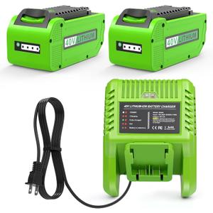 Replacement Battery and Charger for Greenworks 40V Battery Compatible with GreenWorks G-MAX 6.0Ah 40V Power Tools 29462 29252 20202 22262 25312 25322 20642 22272 27062 21242 (2pack+Charger)