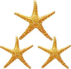 3 Pack Blow up Starfish Floaties