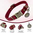 Wisedog Rubber Dog Collar for  Dogs - Waterproof Dog Collar with Quick Release Metal Buckle Easy to Clean Puppy Collar for Outdoor Use, Burgundy(S:10"-14")