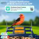 Smart AI Bird Feeder for Families - Attract Vibrant Cardinals! 2K Day/Night Camera, 10,000+ Species ID, Real-Time Alerts, Solar Powered & Weatherproof - Fun Bird Watching for Kids & Adults