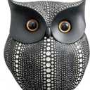 Asng Owl Decor Statue Sculpture for Home, Office, Bookshelf,TV Stand Decoration Resin Animal Sculpture Minimalist Style Crafts Gift for Friend or Family, Animal Lovers (Black)