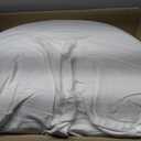 Hotel-Style Goose Feather Down Euro Pillow Insert for Sofa & Bed - 100% Odorless & Plump Cushion Filler - 233TC Cotton with Inner Liner to Prevent Poking (30x30 Inch)