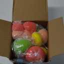 CY2SIDE 12 Pack Capybara Squeeze Toys Party Favor Gift Set, Included Random Slow Rising Squishy Toys 4-in-1 Ballpoint Pen Stickers and Organza Bag, Capybara Party Goodie Bag Fillers for Kids Rewards