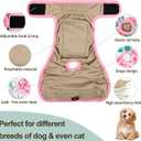 Washable Female Dog Diapers - Premium Reusable Diapers for Doggie in Heat - Highly Absorbent Dog Diapers Female for Pet Incontinence with Adjustable Snaps Sunflower, XL