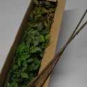 Fake Plants Eucalyptus Stems,Plastics Ficus Stems for Vase Artificial Plants,Greenery Stems for Vase Faux Plants Indoor,43.3" Faux Greenery Indoor Vase Fillers for Home Decor, 4Pcs Orange