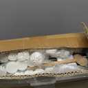 8 Pack Purse Organizer for Closet Purse Storage Box with Door Clear Display Case Handbag Organizer Dustproof Storage Bins for Hat Wallet Book Toy Cosmetic