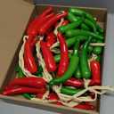 Realistic Mini Fake Hot Chili,Simulation Lifelike Pepper,Chili Pepper Decorations Artificial Fake Vegetables Red Chili Green Pepper Model for Photoshoot Props Home Kitchen Party Decoration