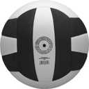 WILSON Pro Tour Indoor Volleyball - Black/ White, Official Size