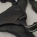 rabbitgoo Dog Harness No Pull with 2 Leash Clips, Adjustable Soft Padded, Reflective Oxford No Choke Pet Vest with Easy Control Handle for Medium Sized Dogs, Black, M