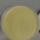 Palmer's Cocoa Butter Formula Tummy Butter - 4.4 oz