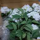 BLOSMON Fake Hydrangea Trees for Outdoors - 2 Packs 33" White Artificial Flower Topiary Ball Trees for Front Porch Decor - 20 Heads Faux Silk Hydrangea Bush Plants with Spike for Garden Yard Patio