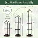 Evergreen Metal Garden Obelisk Trellis for Climbing Plants Outdoor, Indoor Plant Trellis for Potted Plants, Floral Pattern Arch Trellis (Black, 7 ft. Round, Set of 2)