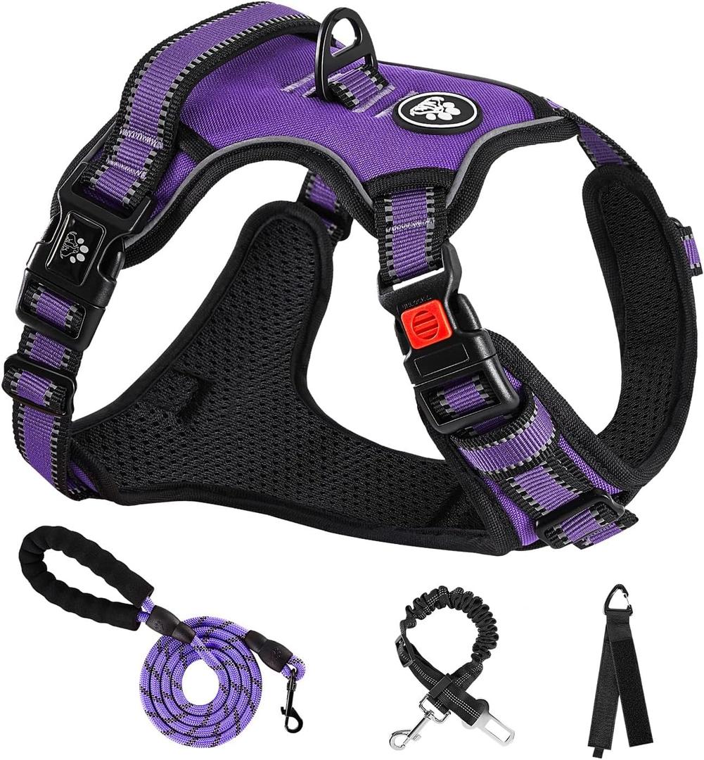 NESTROAD No Pull Dog Harness,Adjustable Oxford Dog Vest Harness with Leash,Reflective No-Choke Pet Harness with Easy Control Soft Handle for Small Dogs(Small,Purple) (Sneck 11-15" chest 15-21")