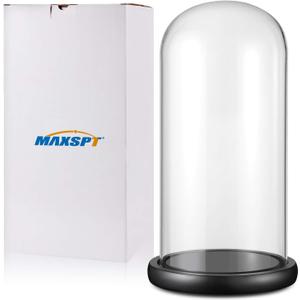 13"x 6" Glass Display Dome Cloche with Black Wood Base for Gold Rose Display, Antique Collectibles,Figurine,Decorative Showcase Display