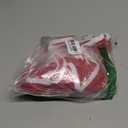 BLARIX Womens Guard Shorts (Red, Large)