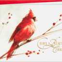 Hallmark Boxed Christmas Cards, Painted Cardinal (40 Cards and 40 Envelopes) Beautiful Christmas