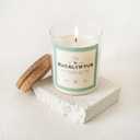 MONDAY MOOSE Scented Candle, 12.6oz All-Natural Soy Wax Cotton Wick Candle Glass Jar and Cork Lid with Essential Oils (Eucalyptus)