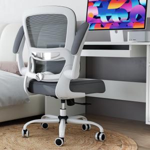TRALT Office Chair - Ergonomic Desk Chair with Adjustable Lumbar Support, Mesh Computer Chair, Executive Chairs for Home Office Comfortable Lumbar Support (Ash Gray), Pack of 1