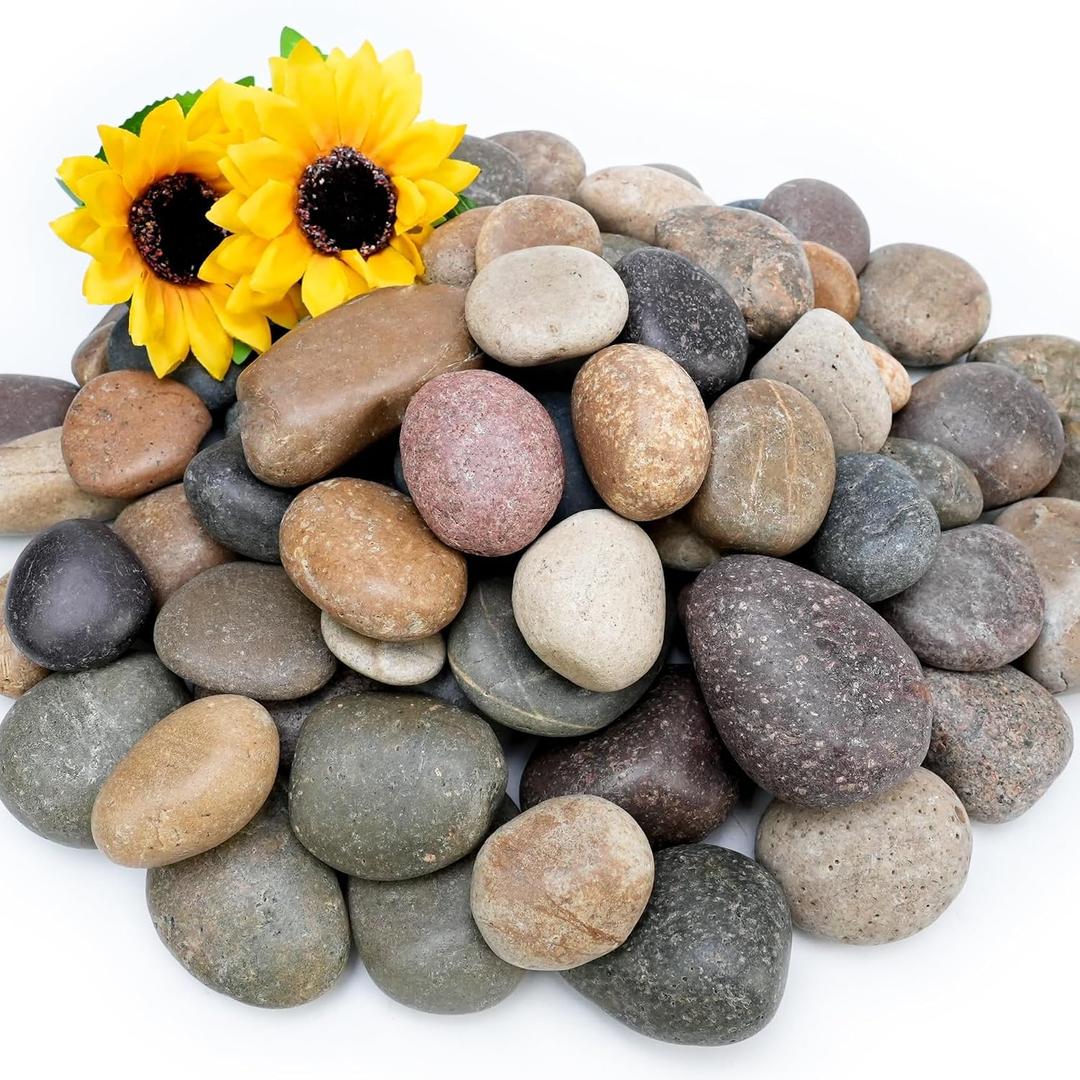 NUPICK 30lb Mexican Beach Pebbles, 2-3" Large River Rocks for Landscaping, Smooth Garden Rocks for Outdoor Paving, Natural Pebbles for Indoor Plants, Decorative Stones for Planters, Fish Tank, Fountai