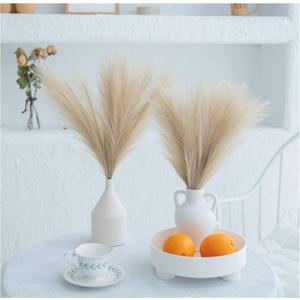 ChagoArt-Pampas Grass Decor Tall-Faux Pampas Grass Small 17"-6 Stems-Beige and Taupe-Brown-Pompas Floral-Fake Pampas Grass-Artificial Pampas Grass Vase-Dried Pampas Grass-Pompous Grass Branches Large