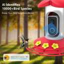Hummingbird Feeder with 4K Camera, Smart Hummingbird Feeder 4G Camera Solar Powered with AI Identify, Auto Capture Bird Videos & Motion Detection, Ideal Gift for Bird Lovers
