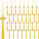 100 Pcs Gold Graduation Cap Tassel Decorations 2026, Grad Tassel Decor with Ornament for Graduation Party Supplies Gifts